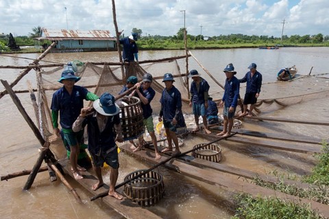 Fish farm