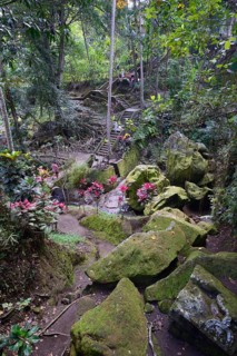 Huge basalt boulders at Goa Gaja Elephant Temple