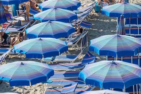 Rows of parasols on the beach