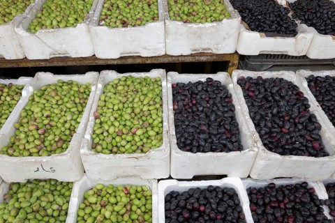 Green and black olives in crates