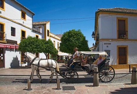 Carriage in the old town