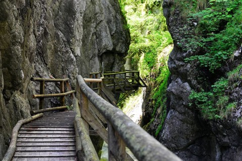 Wooden boardwalk in the Nothklamm gorge