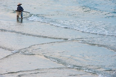 Shellfinder with straw hat at the beach Cua Dai