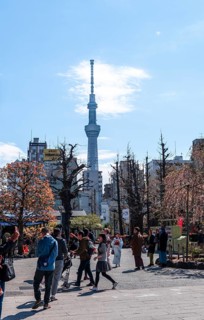 Pedestrians in a pedestrian street