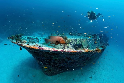 Scuba diver looking at a small wreck with a Redmouth Grouper (Aethaloperca rogaa)