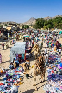 Loaded camel walking through the colourful Monday market of Keren