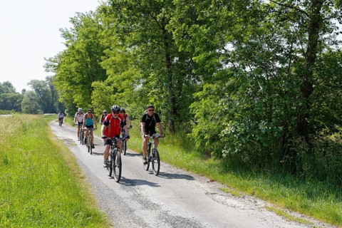 Cyclists on Lafnitztal bike path