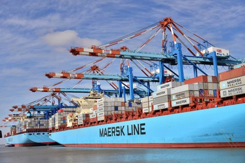Container ship and gantry cranes