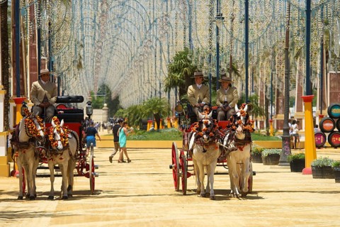 Carriages at the Feria del Caballo