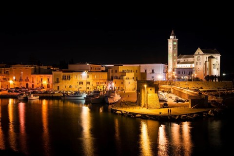Harbor at night