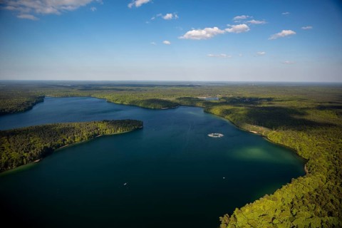Stechlin Cisco fish farming