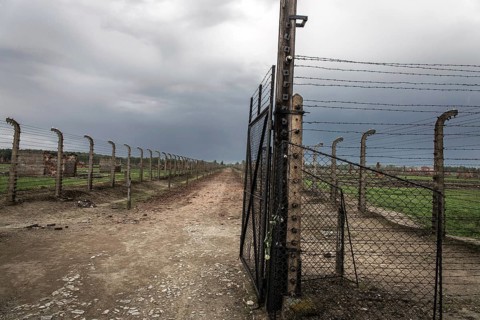 Barbed wire fences