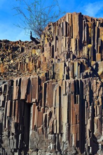 Organ pipes