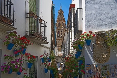 Calle de las Flores with flowers