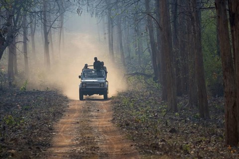 Tourists in off-road vehicle for safari driving on dusty forest track