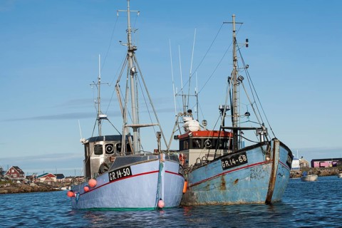 Fishing boats in the harbour