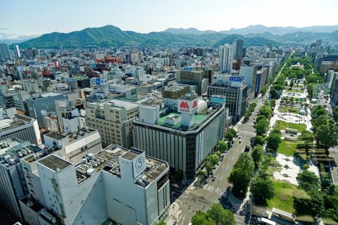 View of the city from the television tower