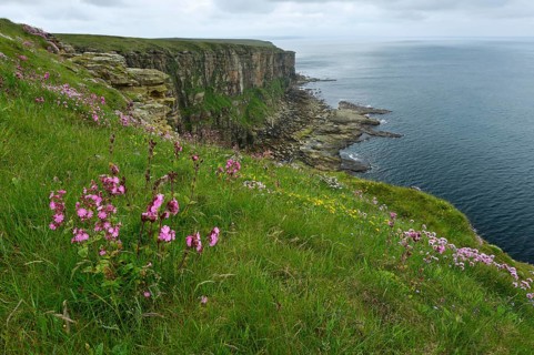Dunnet Head
