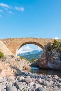 Genoese bridge