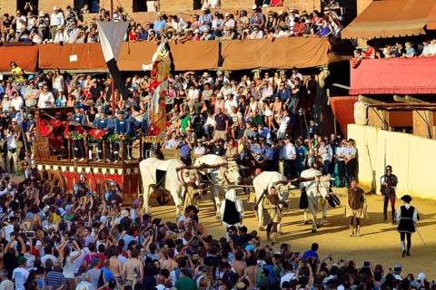 Ox cart at the historic horse race Palio di Siena