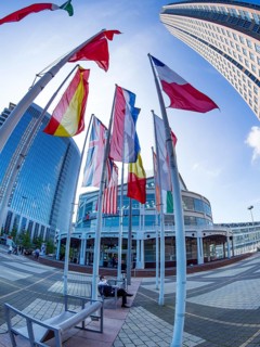 Flags at the Fair Tower