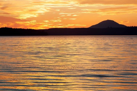 Lake Quinault on the Olympic Peninsula