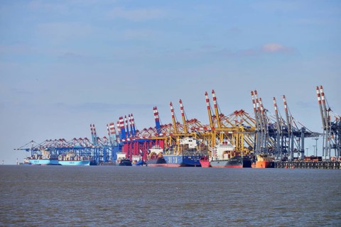 Container ship and gantry cranes