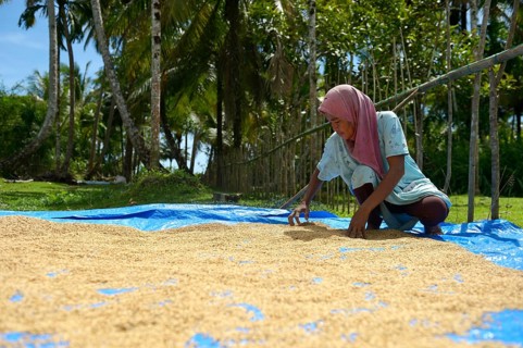 Young woman drying rice