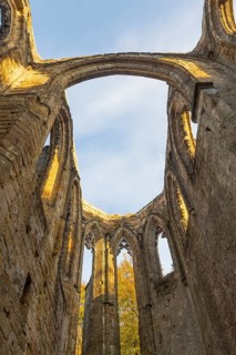 Romantic ruins of the monastery church on Mount Oybin