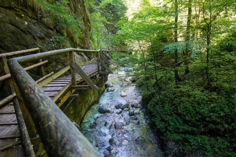 Wooden boardwalk
