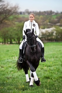 Friesian or Frisian horse