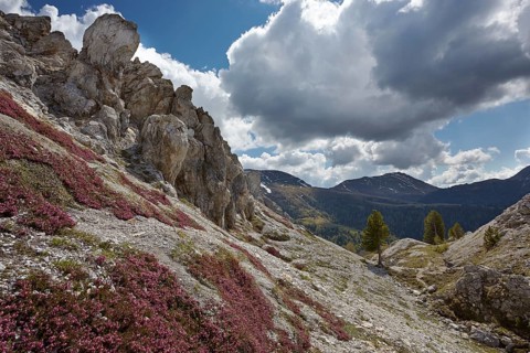 Rocks below Eisentalhohe