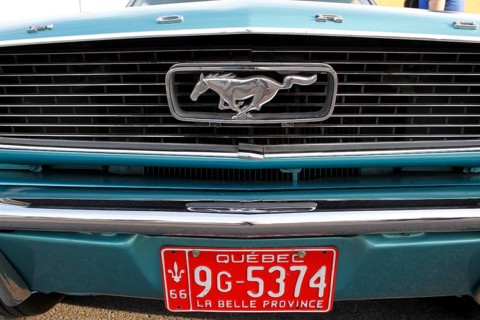 License plate