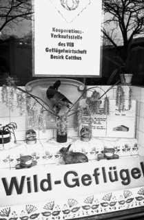 Shop window of a sales point for game and poultry with canned food