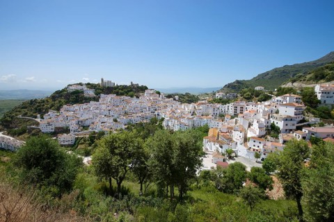 Townscape