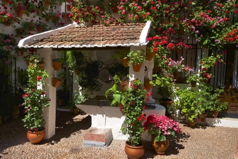Flower-bedecked inner courtyard during the Fiesta de los Patios