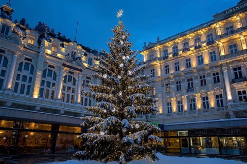 Christmas tree in front of Hotel Pupp