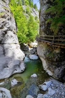 Wooden boardwalk in the Nothklamm gorge