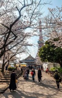 Zojoji Temple