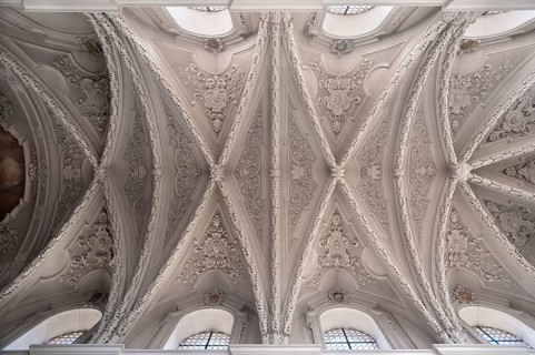 Stuccoed vaulted ceilling