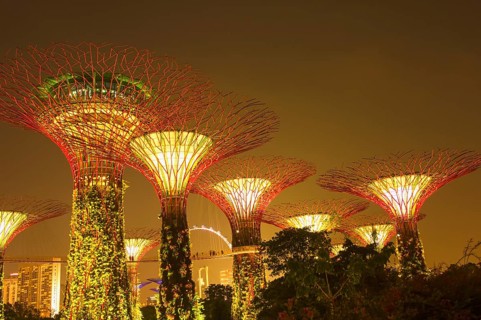 Supertrees