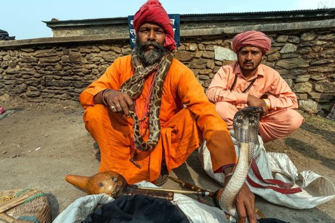 Snake charmer with a cobra