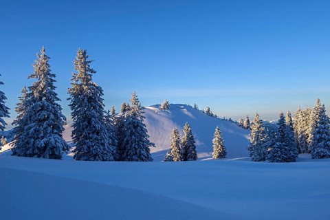 Winter landscape at Kasberg
