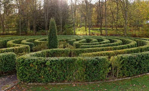 Maze