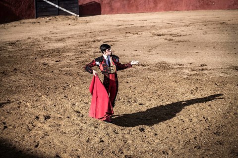 Bullfighter