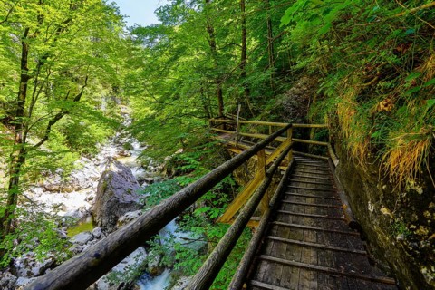 Wooden boardwalk in the Nothklamm gorge