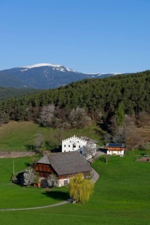 Old homestead