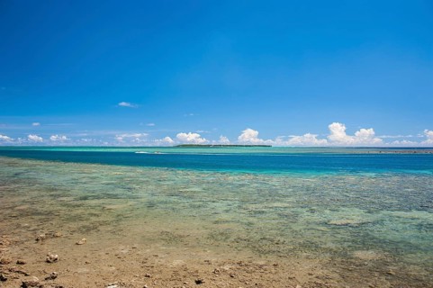 Coral reef