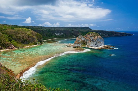 Bird Island