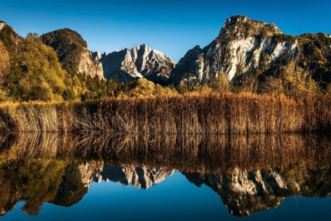 Pond in autumn